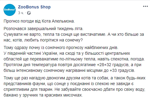 &quot;Теплые солнечные дни&quot;: синоптик дала прогноз погоды на последнюю неделю лета